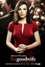 Watch The Good Wife Tvmuse